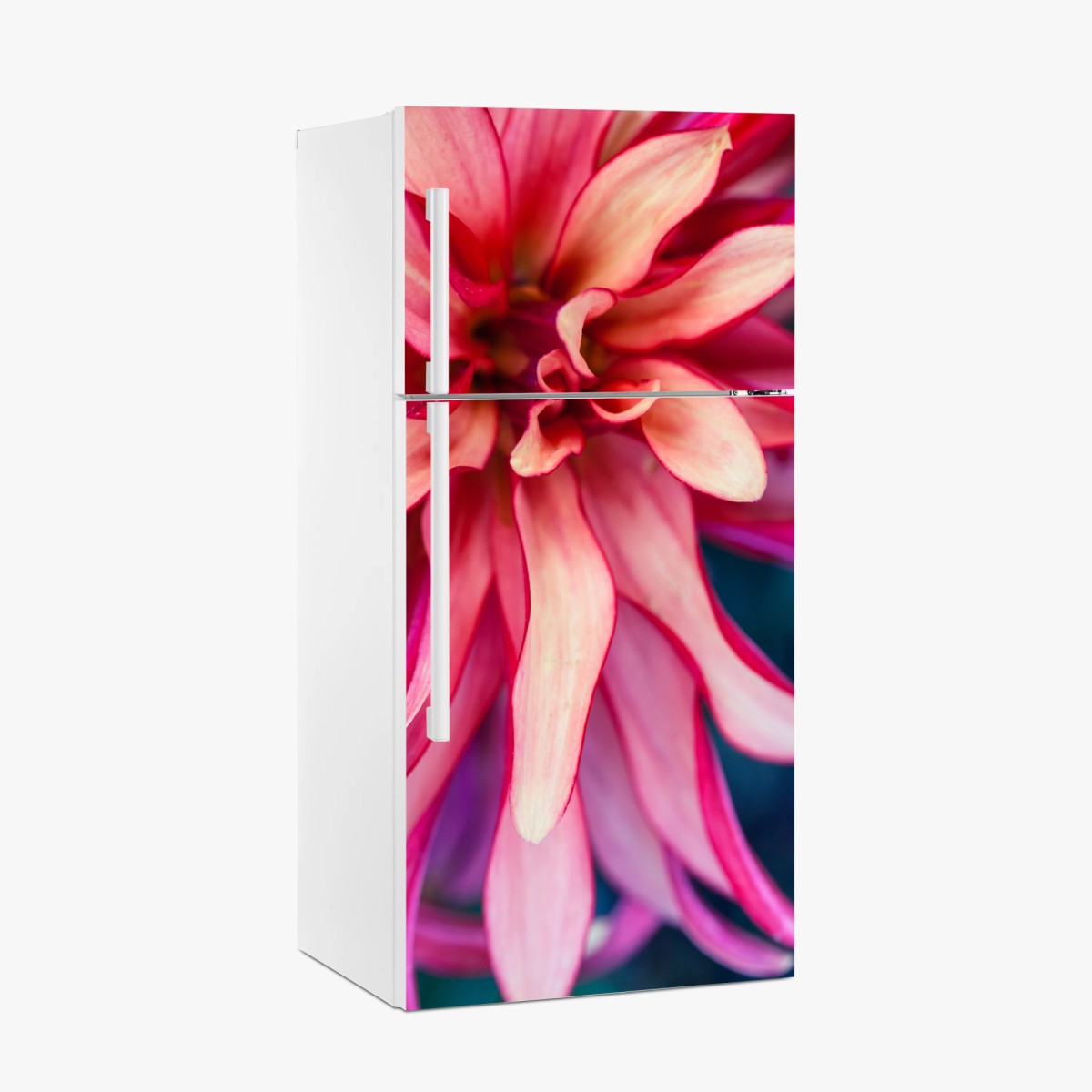 Sticker pour réfrigérateur éclosion corail: composition florale en gros plan – Wallnifity®