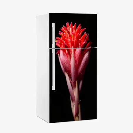 Sticker pour réfrigérateur éclat floral tropical en gros plan – Wallnifity®