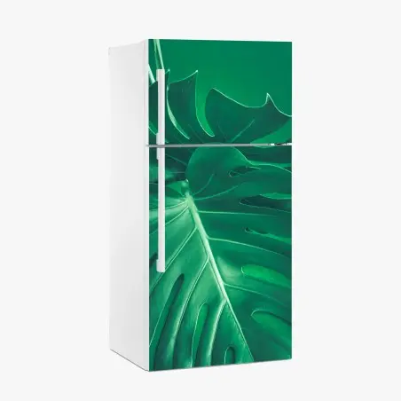 Sticker pour réfrigérateur feuille de monstera verte en gros plan – Wallnifity®