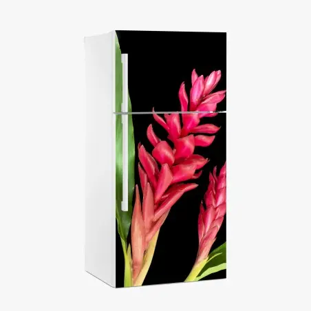 Sticker pour réfrigérateur éclat tropical gingembre torchère rouge sur fond noir – Wallnifity®