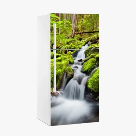Sticker pour réfrigérateur cascade sereine de Sol Duc dans la forêt d'Olympic – Wallnifity®