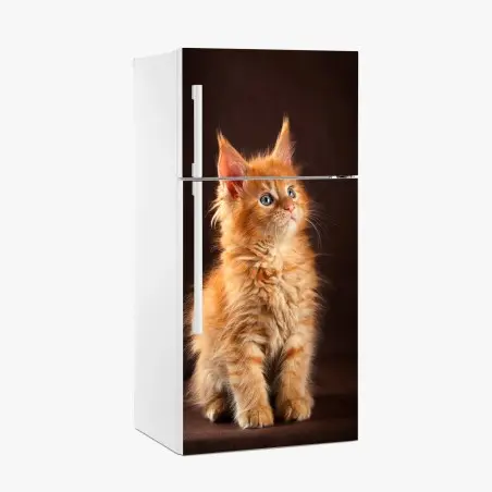 Sticker pour réfrigérateur portrait tendre d'un chaton roux aux yeux bleus – Wallnifity®