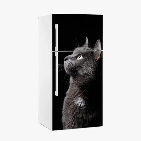 Sticker pour réfrigérateur profil élégant du chat gris aux yeux verts – Wallnifity®