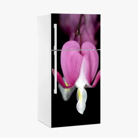 Sticker pour réfrigérateur fleur cœur-de-marie en gros plan – Wallnifity®