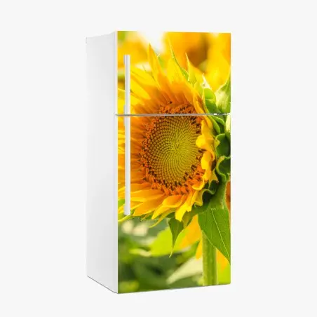 Sticker pour réfrigérateur gros plan de tournesol lumineux – Wallnifity®