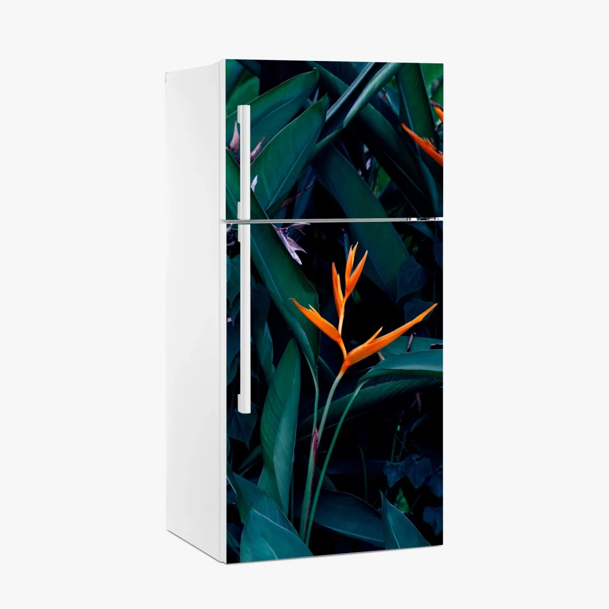 Sticker pour réfrigérateur fleur tropicale orange sur feuillage luxuriant – Wallnifity® Sticker pour réfrigérateur fleur tropicale orange sur feuillage luxuriant – Wallnifity®
