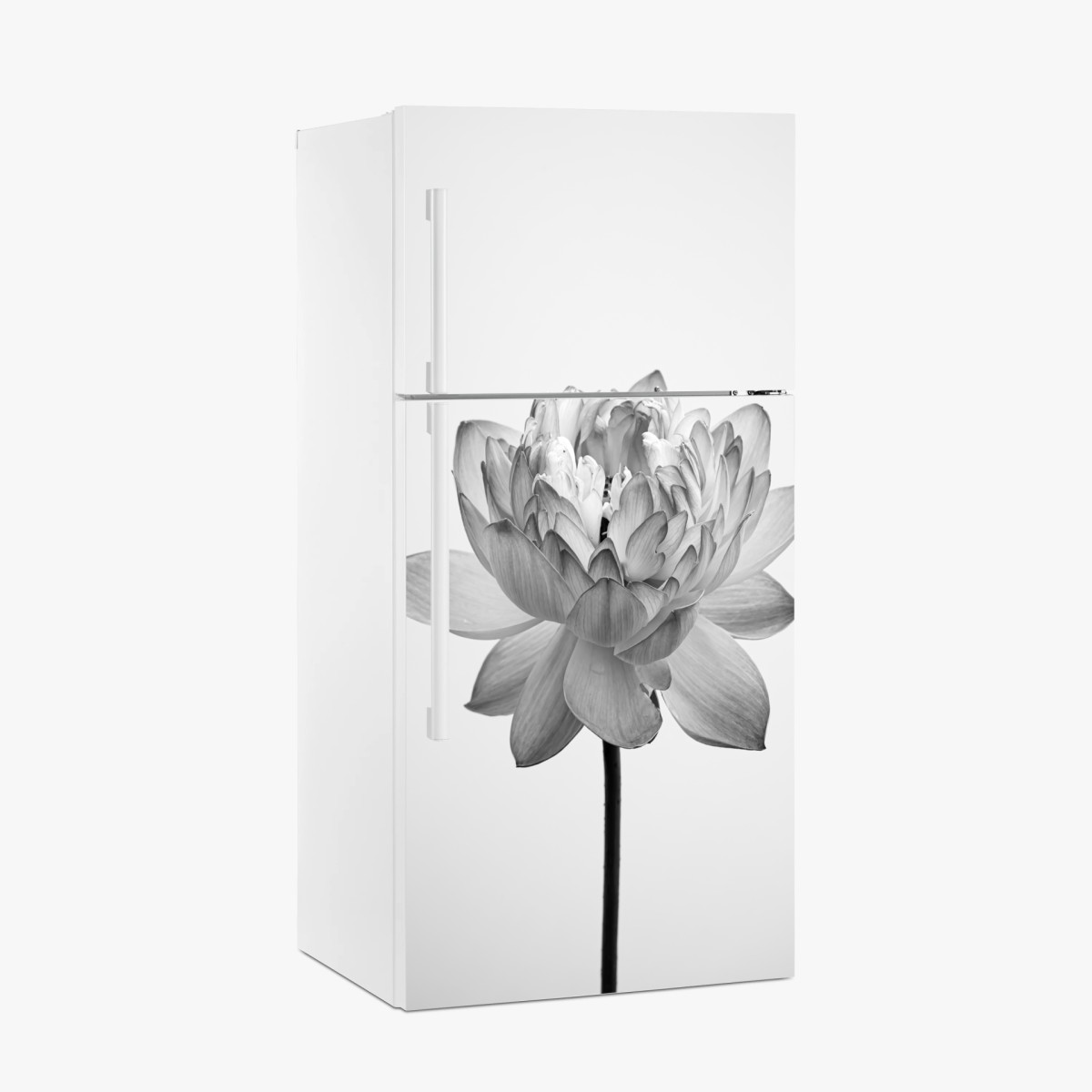 Sticker pour réfrigérateur fleur de lotus monochrome élégante – Wallnifity®