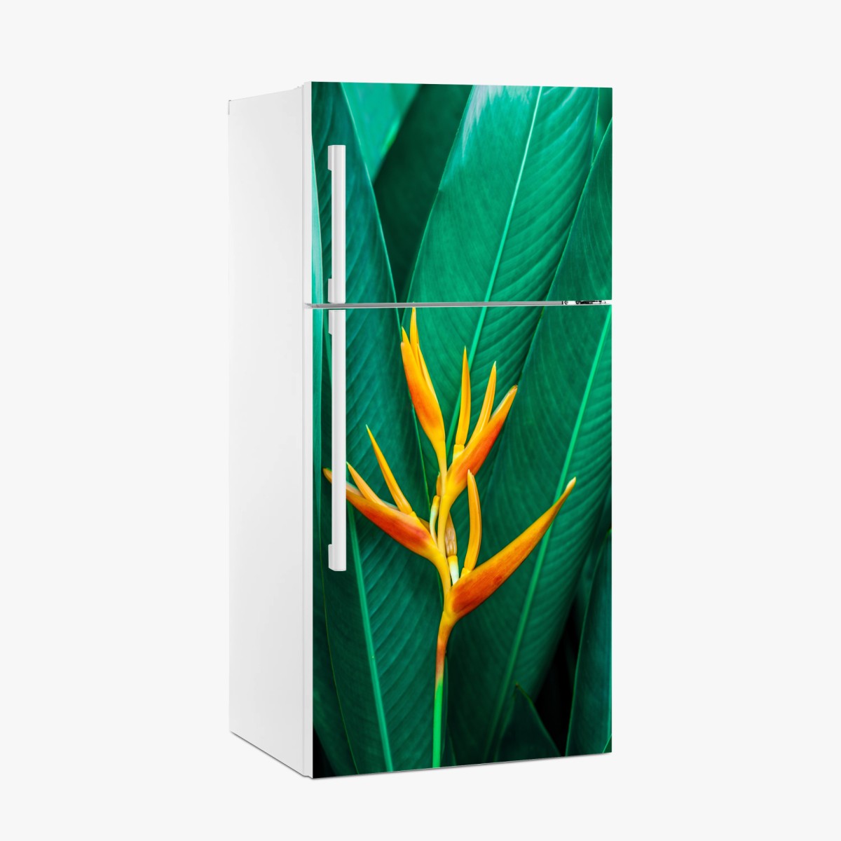 Sticker pour réfrigérateur fleur tropicale orange sur feuillage vert – Wallnifity®