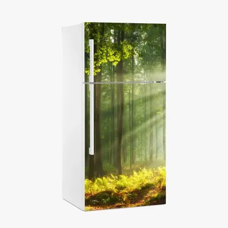 Sticker pour réfrigérateur matin d'automne en forêt ancienne – Wallnifity®