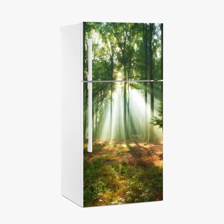 Sticker pour réfrigérateur lumière matinale dans la forêt – Wallnifity®