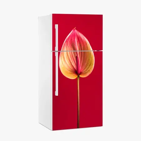 Sticker pour réfrigérateur anthurium en gros plan sur fond rouge – Wallnifity®