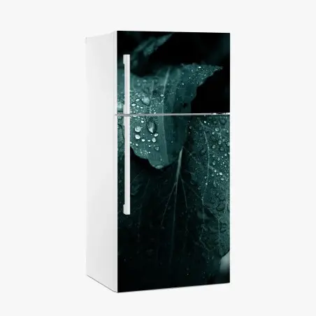 Sticker pour réfrigérateur feuilles perlées de rosée – Wallnifity®