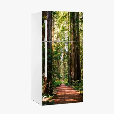 Sticker pour réfrigérateur sentier serein parmi les séquoias géants – Wallnifity®