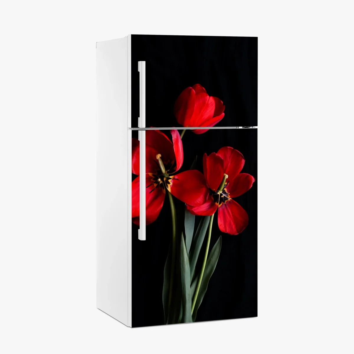 Sticker pour réfrigérateur bouquet de tulipes rouges sur fond noir – Wallnifity® Sticker pour réfrigérateur bouquet de tulipes rouges sur fond noir – Wallnifity®