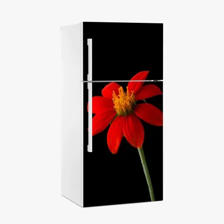 Sticker pour réfrigérateur éclat rouge : fleur tropicale sur fond noir – Wallnifity®