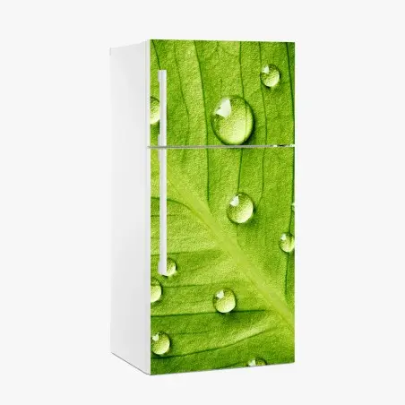 Sticker pour réfrigérateur gouttes sur feuille verte en gros plan – Wallnifity®