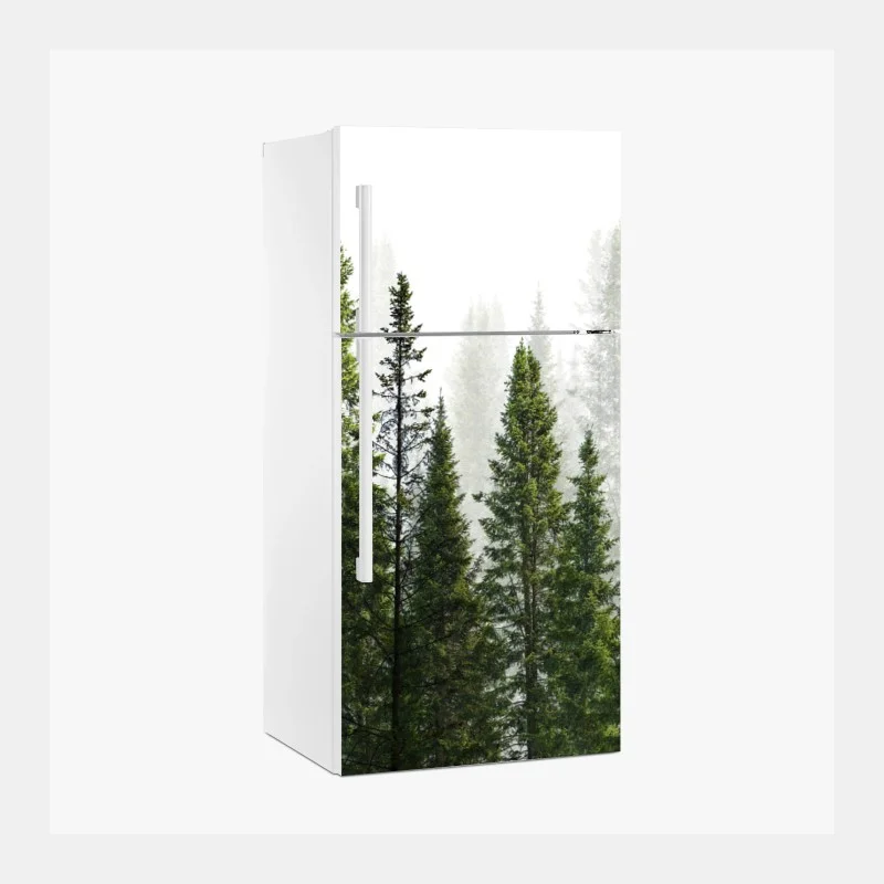 Stickers pour frigo – Wallnifity®