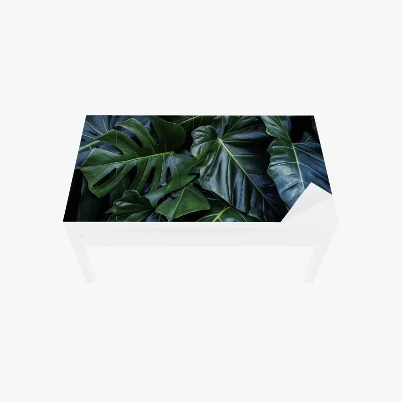 Fleurs et plantes – Wallnifity®