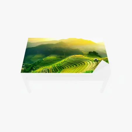 Sticker pour table et bureau rizières en terrasses au soleil doré – Wallnifity®