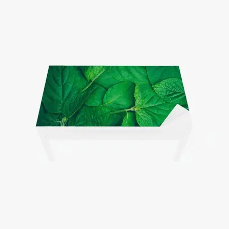 Sticker pour table et bureau feuillage vert luxuriant – Wallnifity®