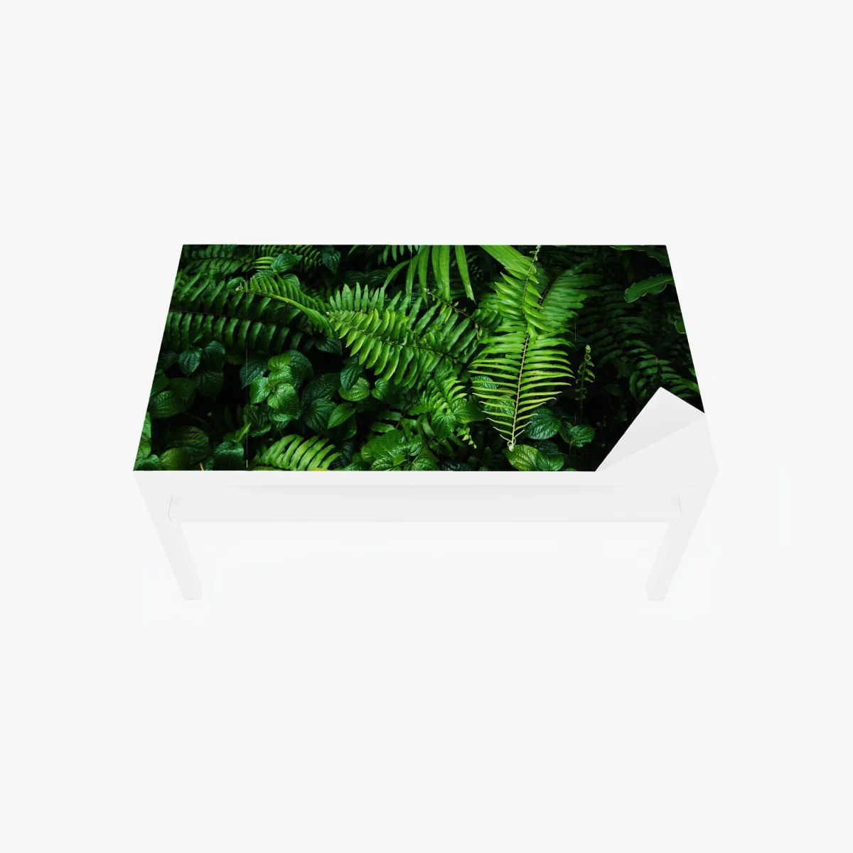 Sticker pour table et bureau jardin vertical tropical luxuriant – Wallnifity® Sticker pour table et bureau jardin vertical tropical luxuriant – Wallnifity®