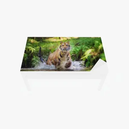 Sticker pour table et bureau tigre en pleine course dans la rivière – Wallnifity®