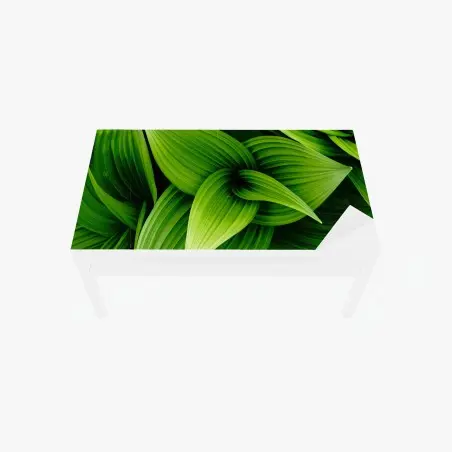 Sticker pour table et bureau feuillage vert luxuriant pour décoration murale – Wallnifity®
