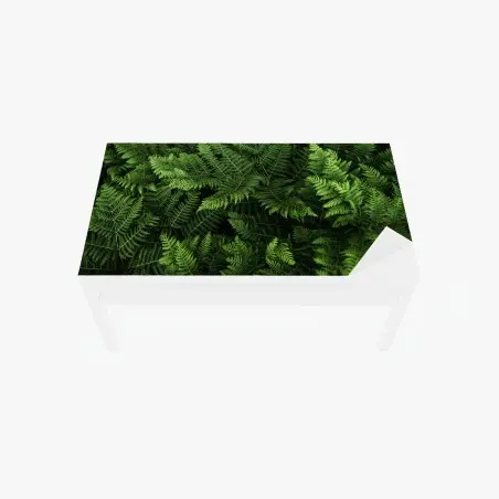 Sticker pour table et bureau motif fougères luxuriantes pour décoration murale – Wallnifity®