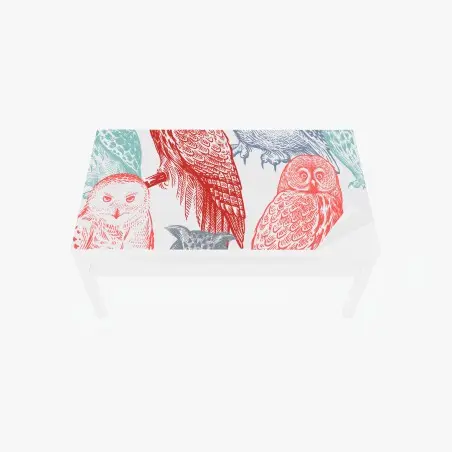 Sticker pour table et bureau motif hiboux style gravure coloré – Wallnifity®