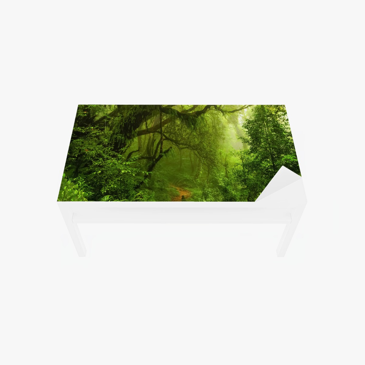 Sticker pour table et bureau sentier enchanté dans la forêt tropicale – Wallnifity®