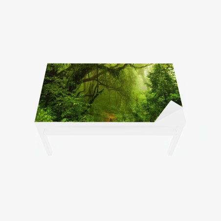 Sticker pour table et bureau sentier enchanté dans la forêt tropicale – Wallnifity®