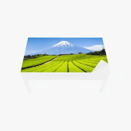 Sticker pour table et bureau paysage serein des plantations de thé et Mont Fuji – Wallnifity®