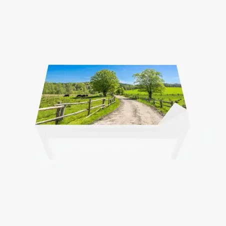 Sticker pour table et bureau chemin de campagne verdoyant sous un ciel bleu – Wallnifity®