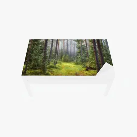 Sticker pour table et bureau sentier lumineux dans la forêt brumeuse – Wallnifity®