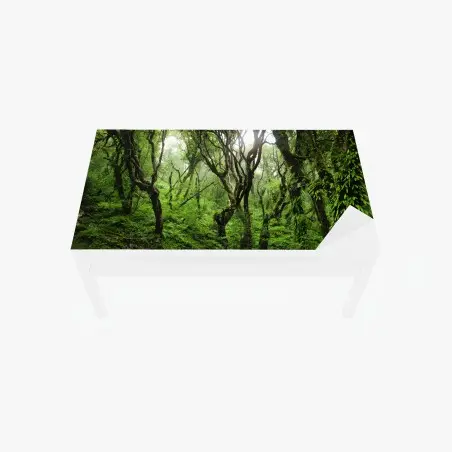 Sticker pour table et bureau forêt mystique recouverte de mousse – Wallnifity®