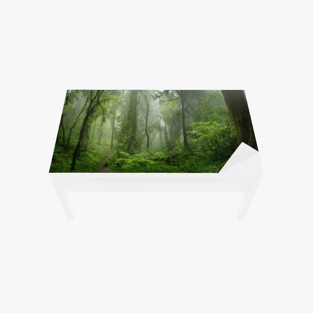 Sticker pour table et bureau brume verte dans la forêt tropicale d'Asie du Sud-Est – Wallnifity® Sticker pour table et bureau brume verte dans la forêt tropicale d'Asie du Sud-Est – Wallnifity®