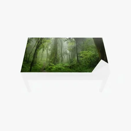 Sticker pour table et bureau brume verte dans la forêt tropicale d'Asie du Sud-Est – Wallnifity®