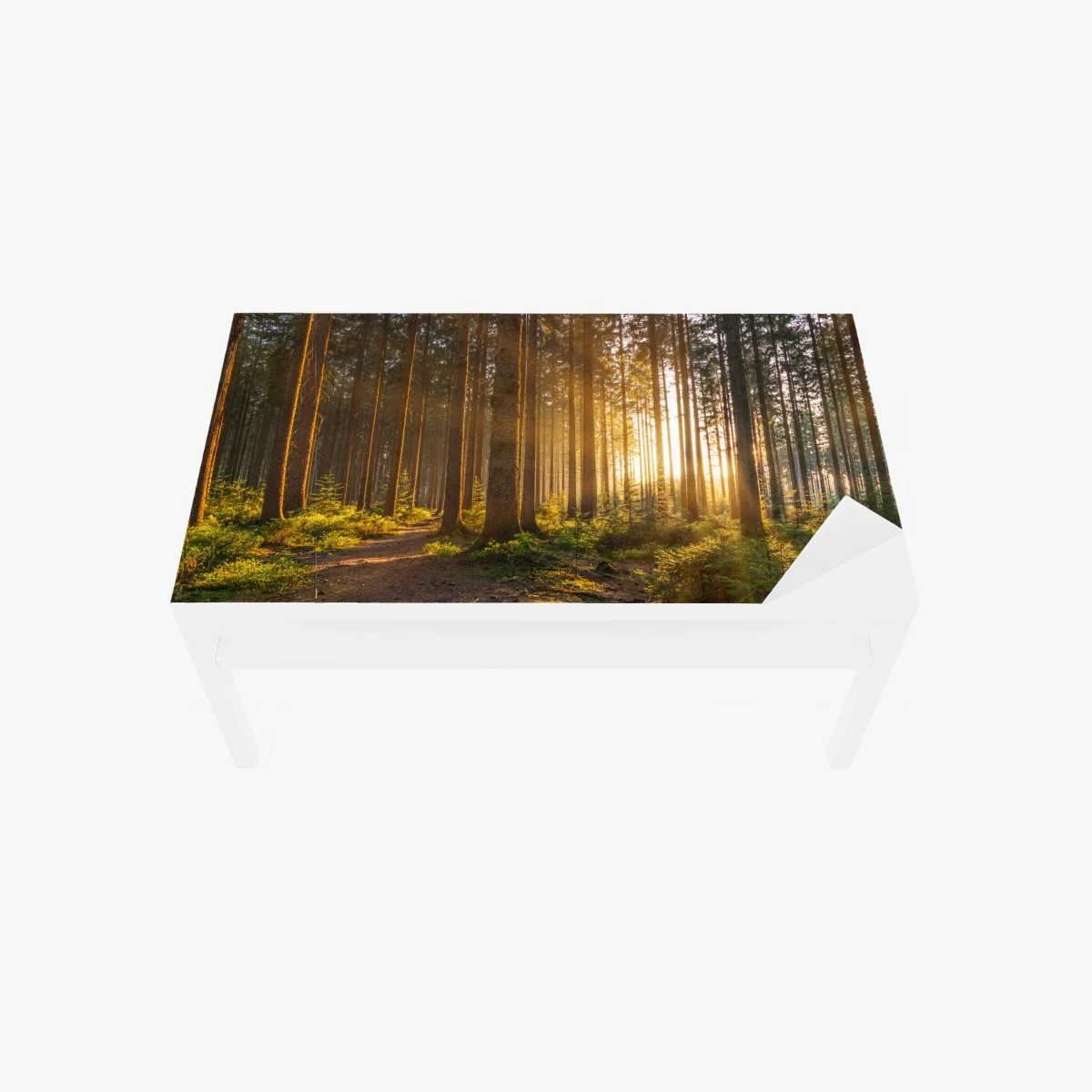 Sticker pour table et bureau forêt silencieuse aux rayons dorés – Wallnifity® Sticker pour table et bureau forêt silencieuse aux rayons dorés – Wallnifity®