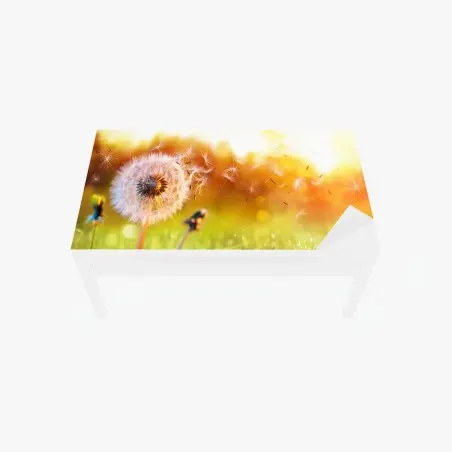 Sticker pour table et bureau pissenlit au vent au coucher de soleil doré – Wallnifity®