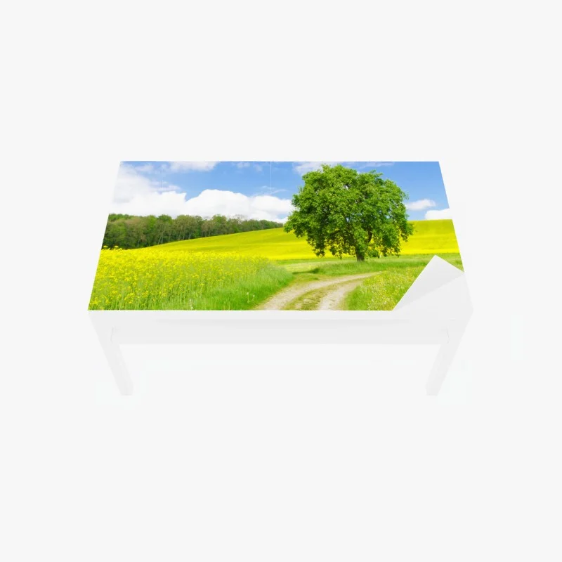 Stickers pour table et bureau – Wallnifity®