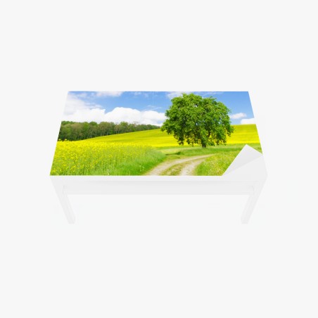 Sticker pour table et bureau chemin bucolique vers l'arbre solitaire – Wallnifity®