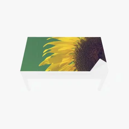 Sticker pour table et bureau tournesol rétro sur fond vert – Wallnifity®