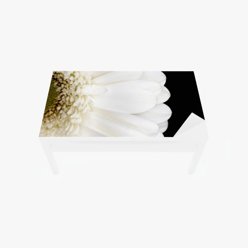 Minimaliste – Wallnifity®