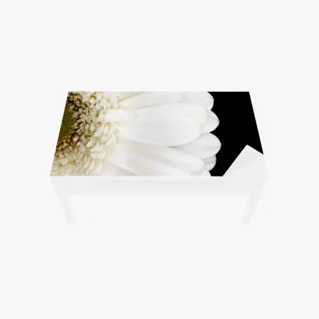 Sticker pour table et bureau gerbera blanche en gros plan sur fond noir – Wallnifity®