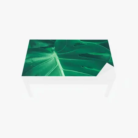 Sticker pour table et bureau feuille de monstera verte en gros plan – Wallnifity®