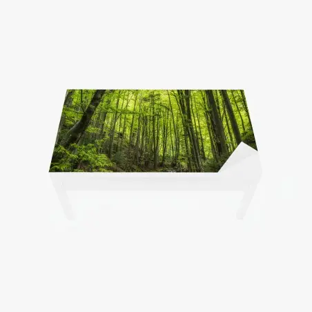 Sticker pour table et bureau forêt verdoyante et ruisseau paisible – Wallnifity®