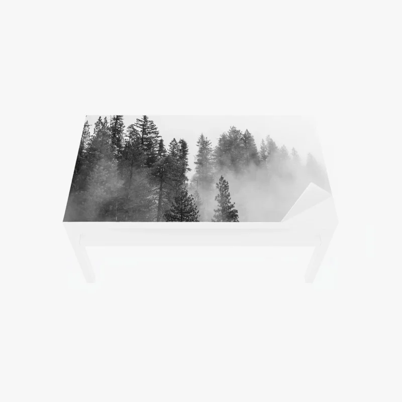 Sticker pour table et bureau brume sur Giant Forest, Sierra Nevada – Wallnifity® Sticker pour table et bureau brume sur Giant Forest, Sierra Nevada – Wallnifity®