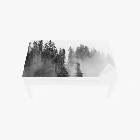 Sticker pour table et bureau brume sur Giant Forest, Sierra Nevada – Wallnifity®