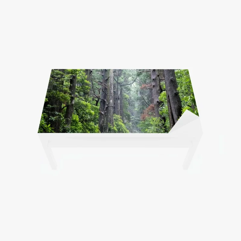 Stickers pour table et bureau – Wallnifity®