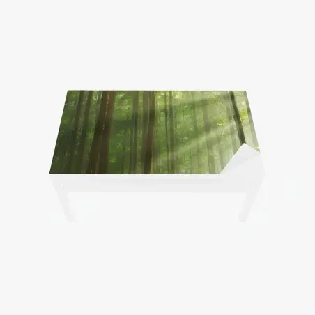 Sticker pour table et bureau matin d'automne en forêt ancienne – Wallnifity®